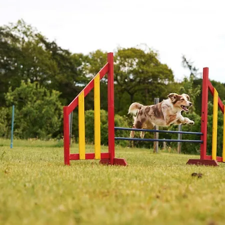 Hof Köhne - Altes - Dachstube Rechts Apartment *
