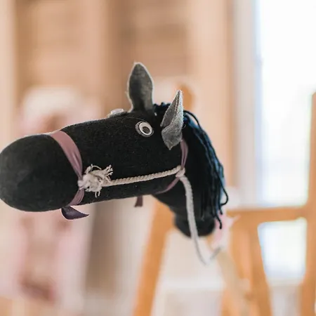 Apartment Hof Köhne - Altes - Dachstube Rechts *