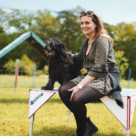 Hof Koehne - Altes - Dachstube Rechts
