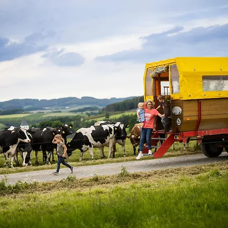 Hof Koehne - Altes - Dachstube Rechts Apartmán Schmallenberg