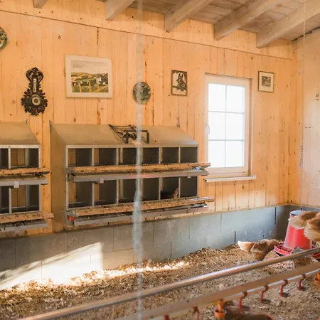 アパート Hof Koehne - Altes - Dachstube Rechts シュマレンベルク