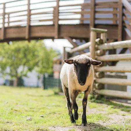 Hof Koehne - Altes - Dachstube Rechts * シュマレンベルク