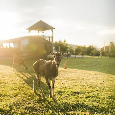 Hof Köhne - Altes - Dachstube Rechts *
