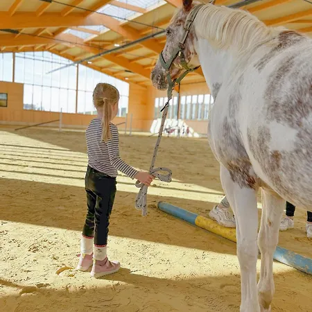 Apartment Hof Köhne - Altes - Dachstube Rechts Schmallenberg