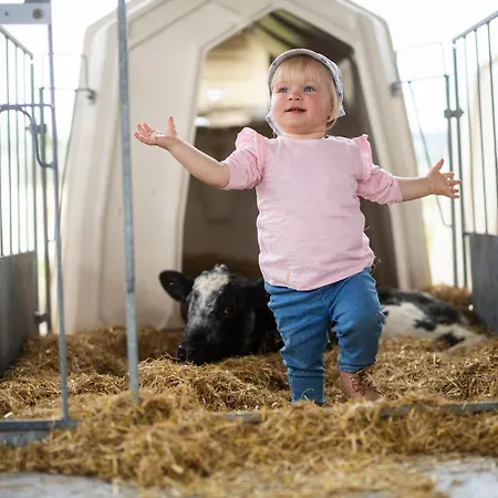 Hof Koehne - Altes - Dachstube Rechts シュマレンベルク