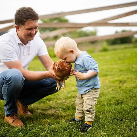 Hof Koehne - Altes - Dachstube Rechts