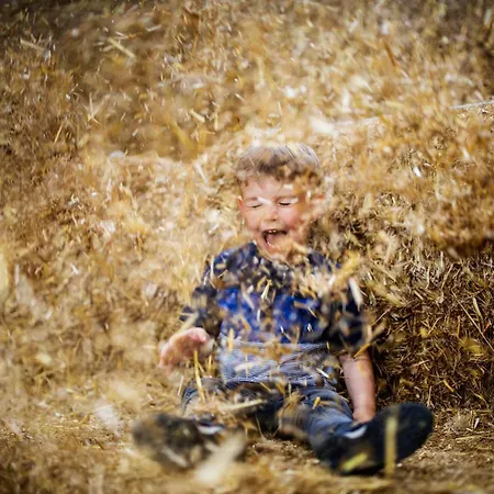 Hof Koehne - Altes - Dachstube Rechts * シュマレンベルク