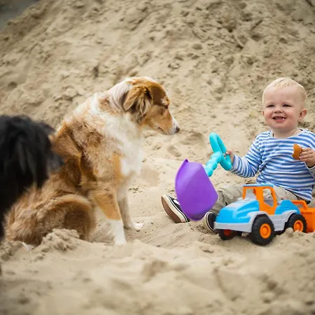 Hof Koehne - Altes - Dachstube Rechts