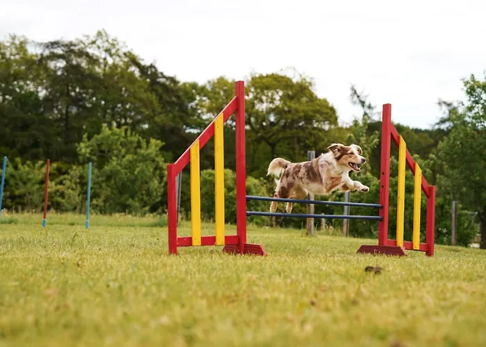 Hof Koehne - Altes - Dachstube Rechts Διαμέρισμα *