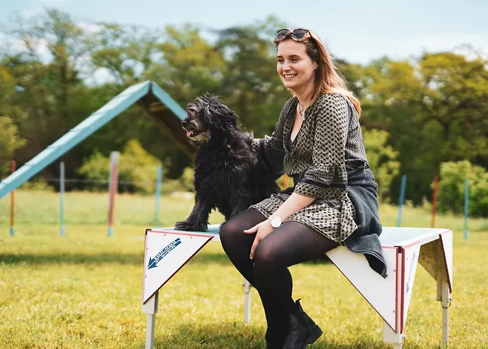 Hof Koehne - Altes - Dachstube Rechts