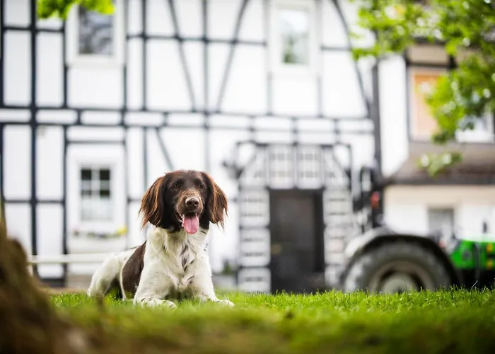 Hof Koehne - Altes - Dachstube Rechts Διαμέρισμα Schmallenberg