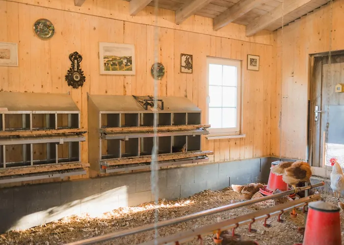 Διαμέρισμα Hof Koehne - Altes - Dachstube Rechts Schmallenberg