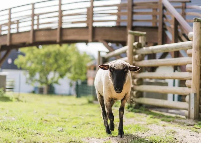 Hof Koehne - Altes - Dachstube Rechts * Schmallenberg