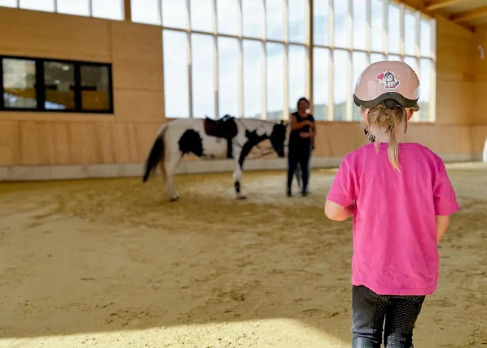 Hof Koehne - Altes - Dachstube Rechts Schmallenberg